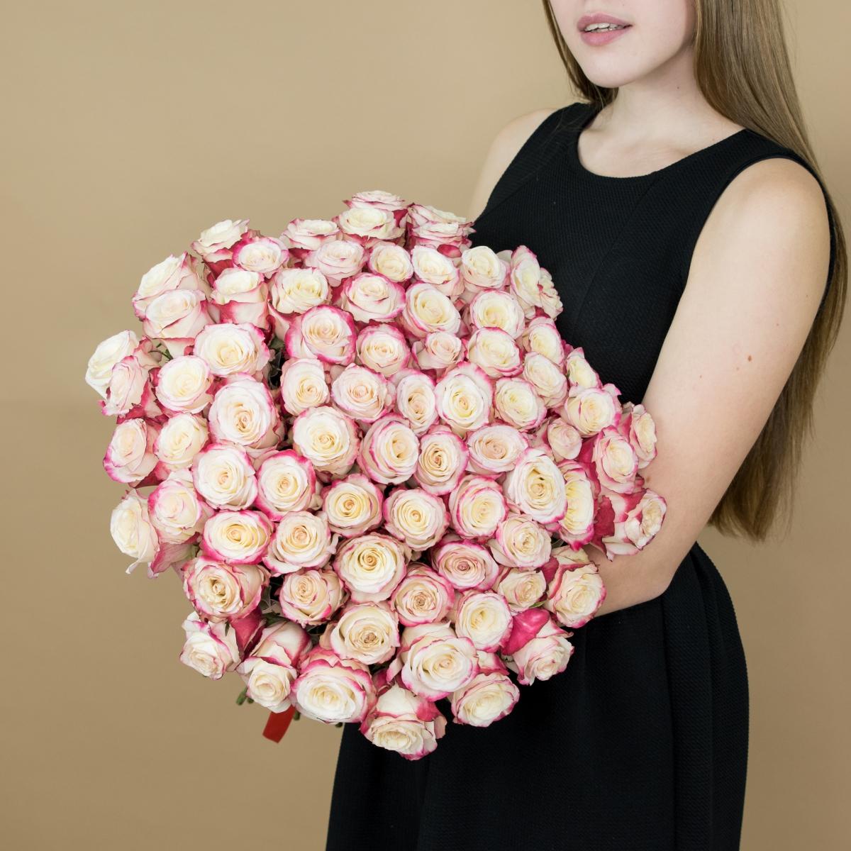Розы красно-белые (40 см) Эквадор код товара: 474