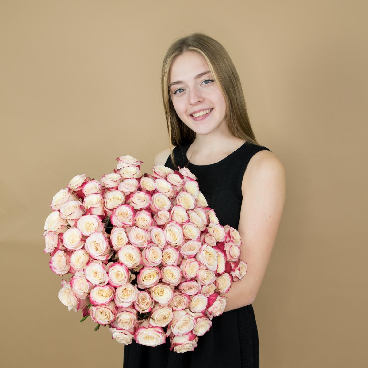 Розы красно-белые (40 см) Эквадор код товара: 474