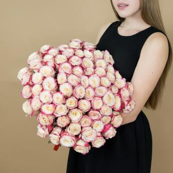 Розы красно-белые 75 шт 40 см (Эквадор) артикул букета: 84214