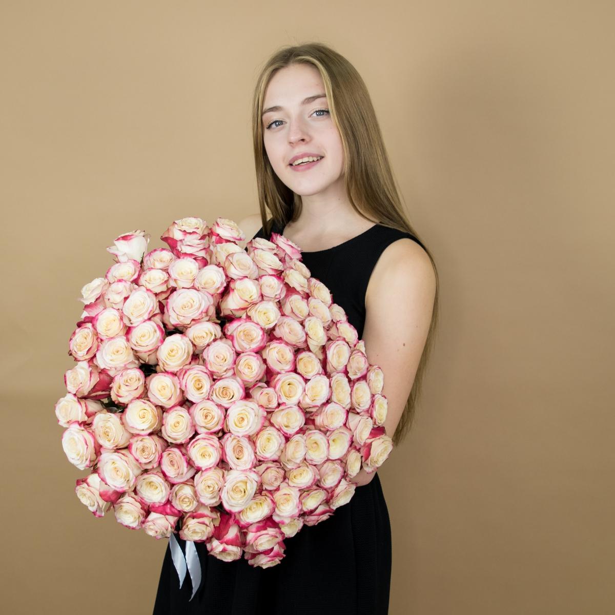 Розы красно-белые 101 шт. (40 см) код товара  84372