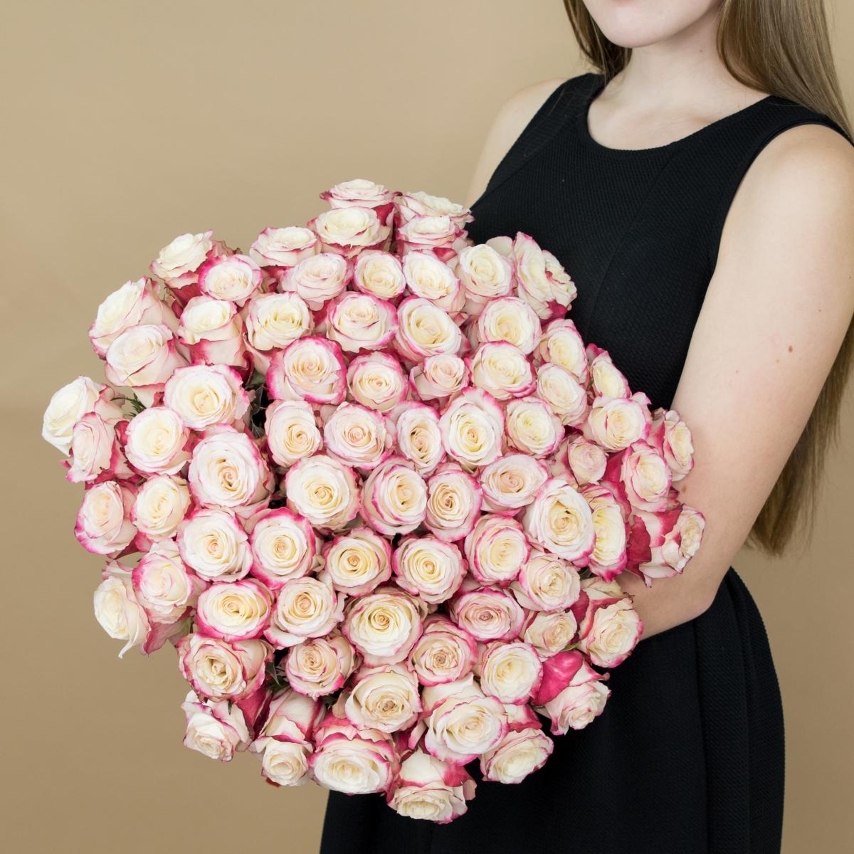 Розы красно-белые 101 шт. (40 см) код товара  84372