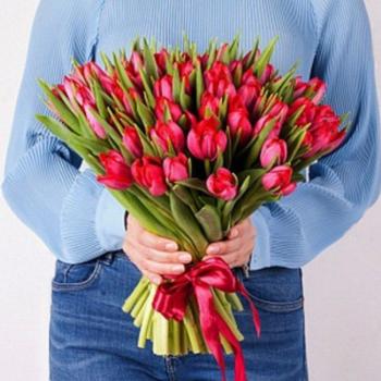Тюльпаны красные 51 шт [код товара: 137618]